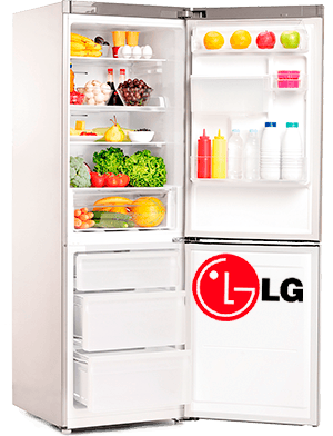 Холодильник двухкамерный открытый холодильник элджи